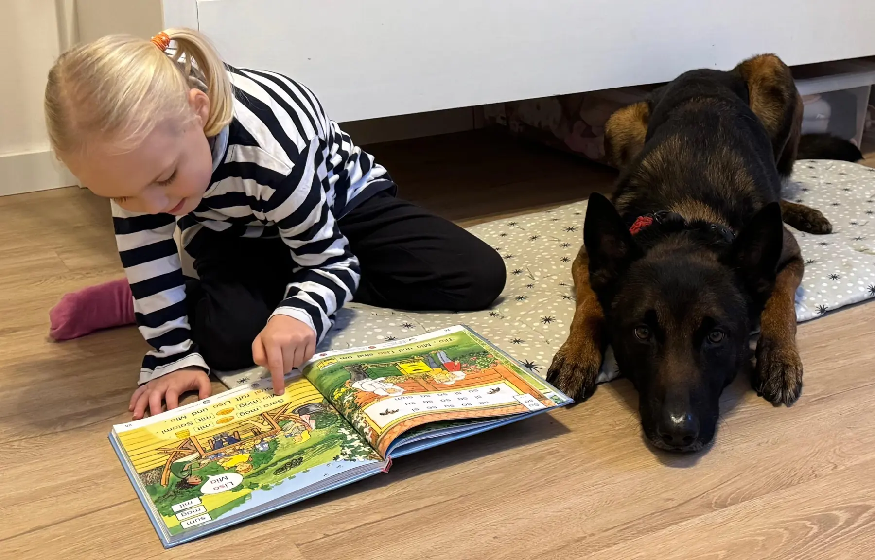 Ein Mädchen sitzt auf dem Boden und liest aus einem Buch vor, neben ihr liegt aufmerksam ein Schäferhund