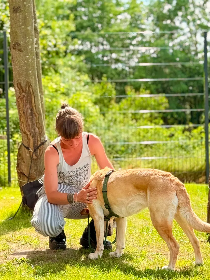 Eine Frau hockt auf einer Wiese und umarmt ihren hellen Hund